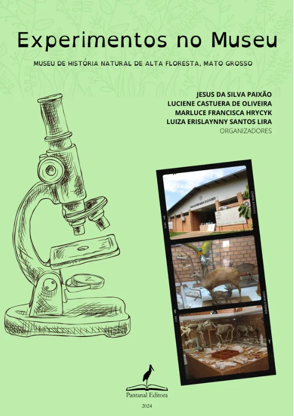 Ler e-book